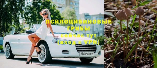 амф Алексин