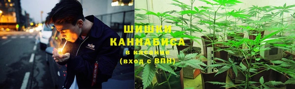 бошки Алзамай