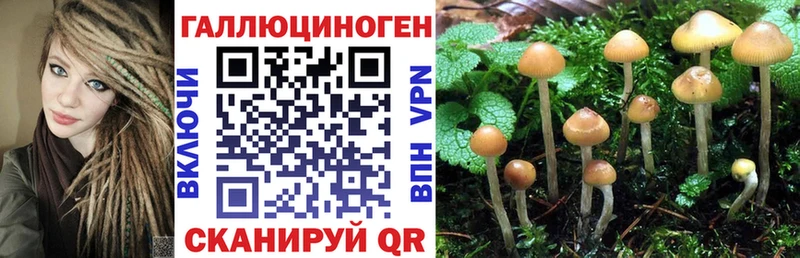 Галлюциногенные грибы мицелий  Сим 